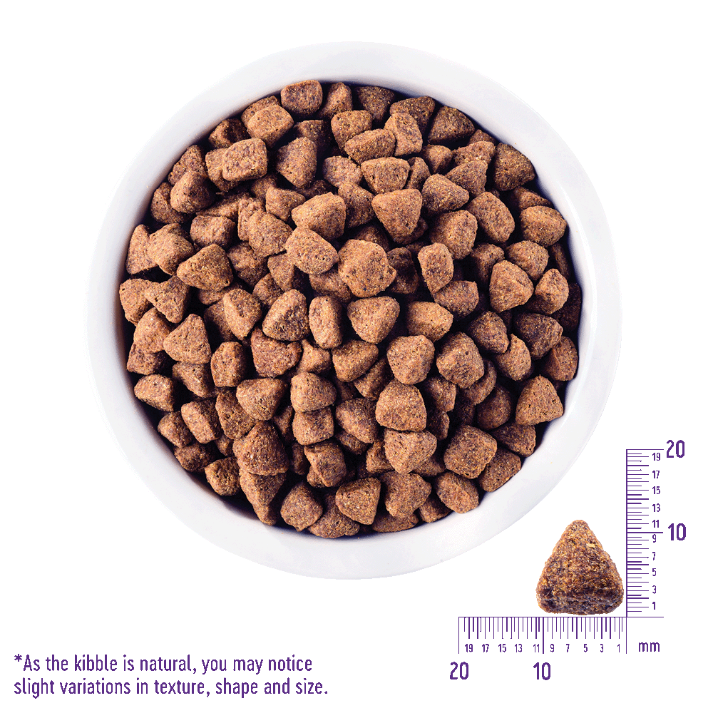 Buy Wellness Core Grain Free Original Formula Dry Dog Food Online Better Prices At Pet Circle