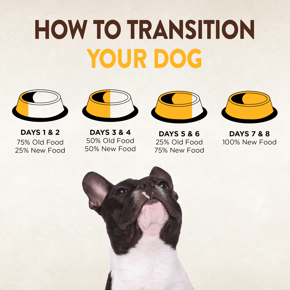 wellness core puppy formula