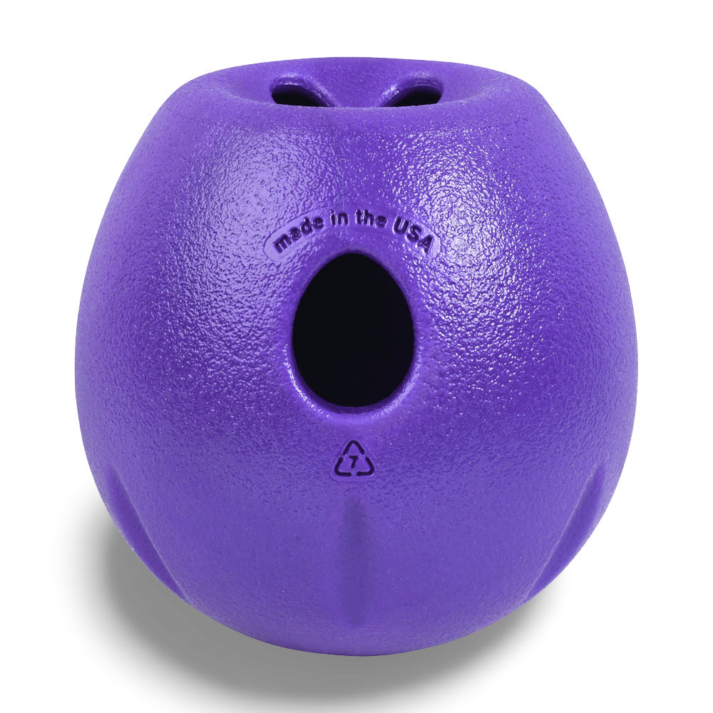 Buy West Paw Rumbl Small Dog Toy Eggplant Online Better Prices At Pet