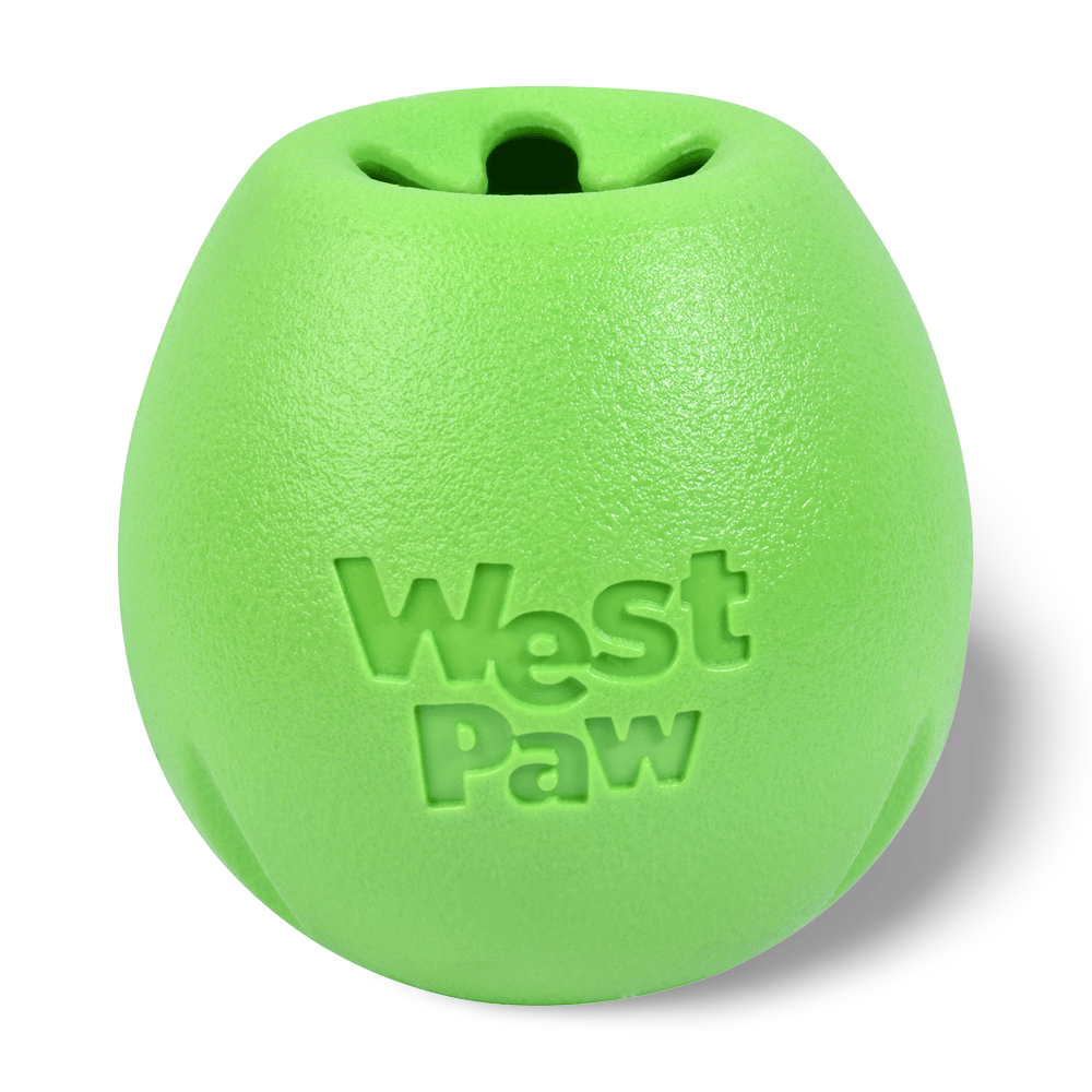 Buy West Paw Rumbl Small Dog Toy Jungle Green Online Better Prices At