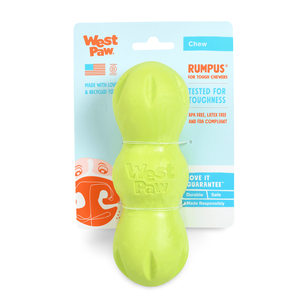 Buy West Paw Rumpus Tough Fetch Stick Dog Toy Green Online Low Prices