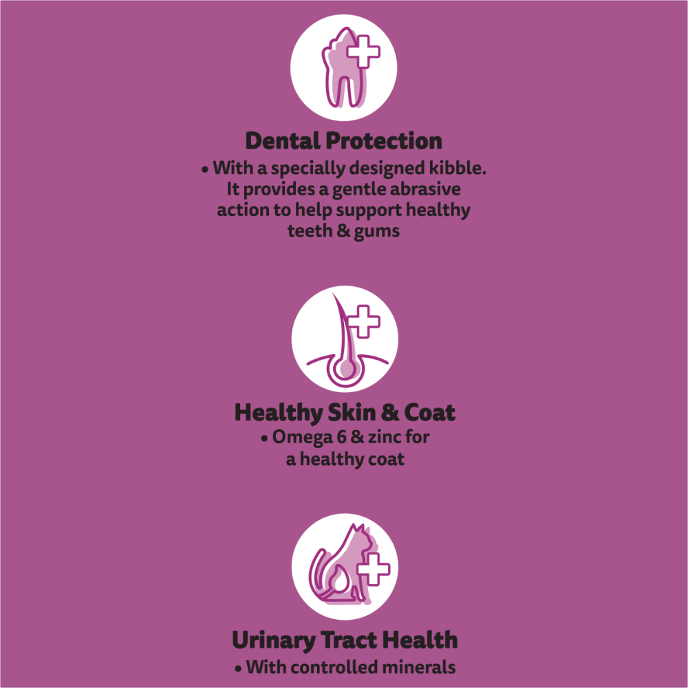 Buy Whiskas 1 Plus Chicken And Turkey Dry Cat Food Online Low Prices