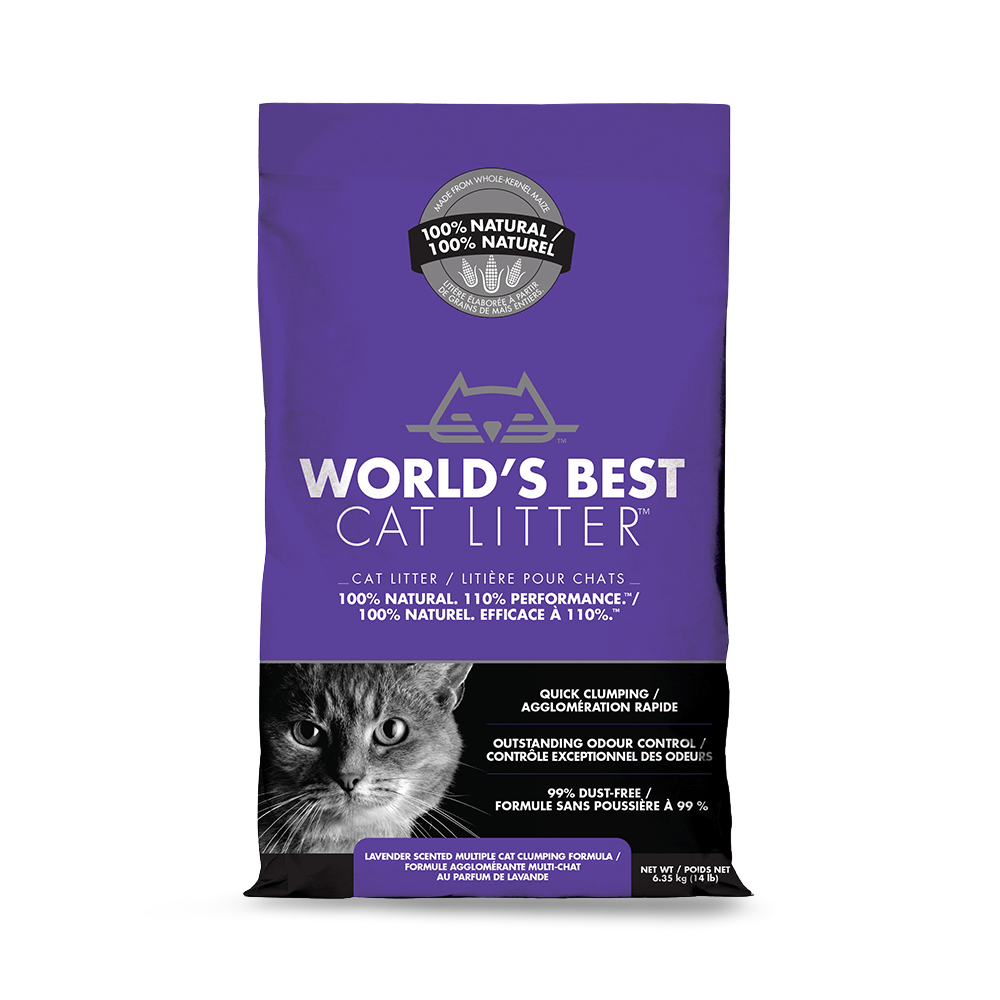 Best Substitute For Cat Litter