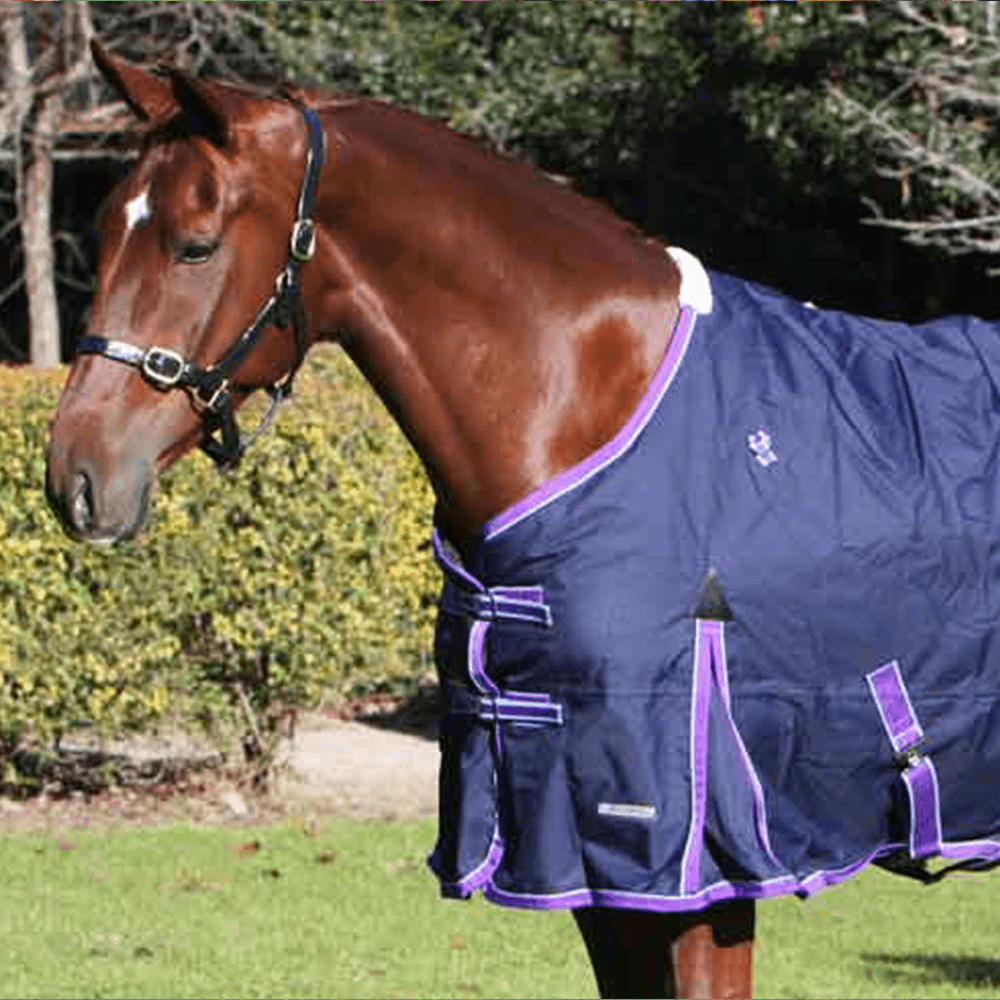 Buy Zilco Explorer 200 Rug Online Low Prices, Free Shipping