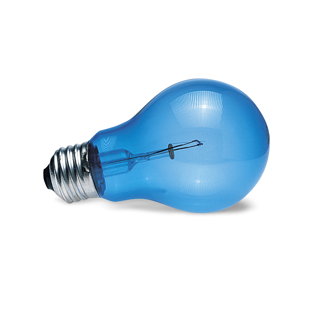 daylight blue bulb