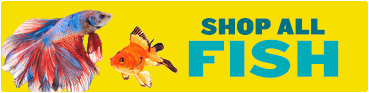 Shop all fish