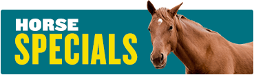 Specials horse