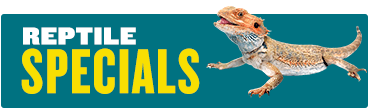 Specials reptile